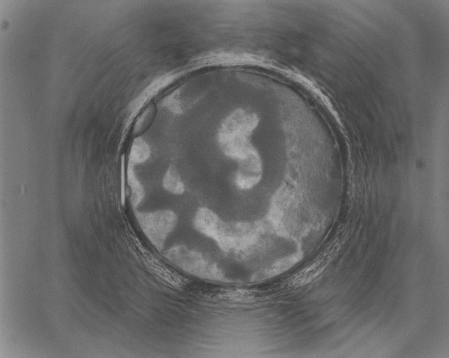 X0000067391175200604211626