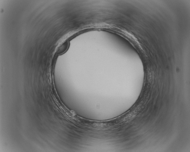 X0000067391176200604211626