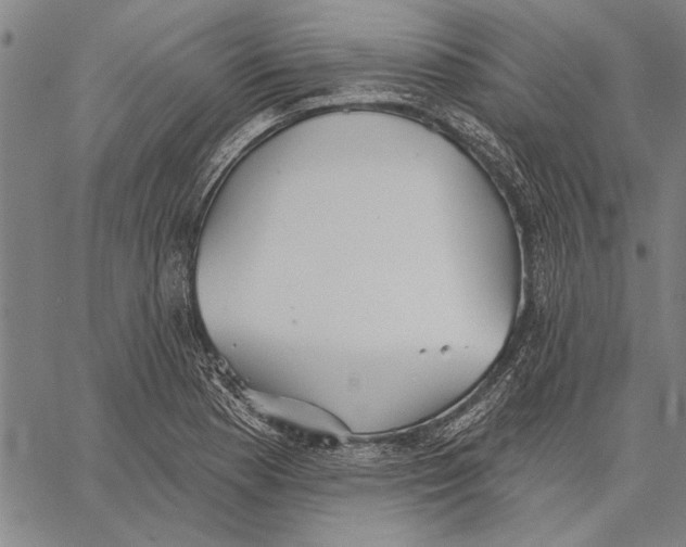 X0000067391177200604211626