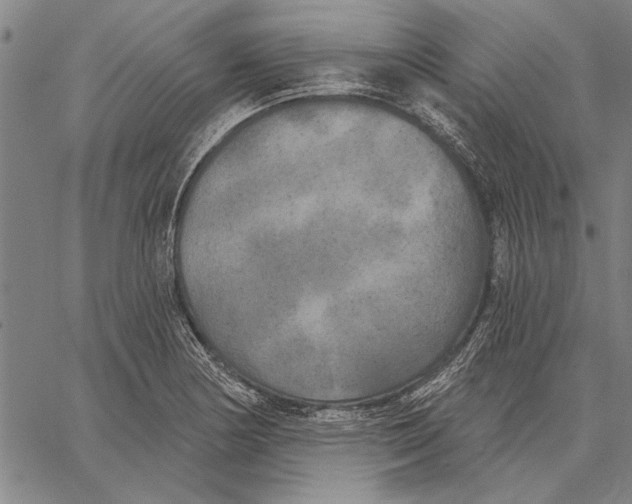 X0000067391178200604211626