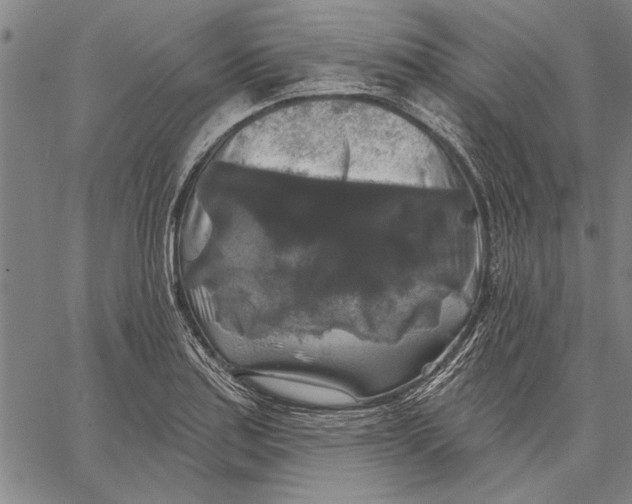 X0000067391179200604211626