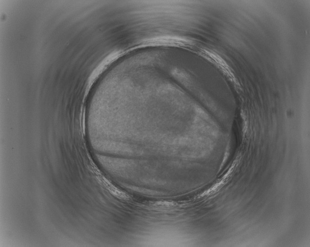 X0000067391180200604211626