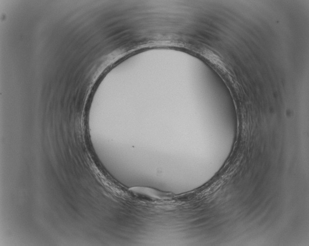 X0000067391181200604211626