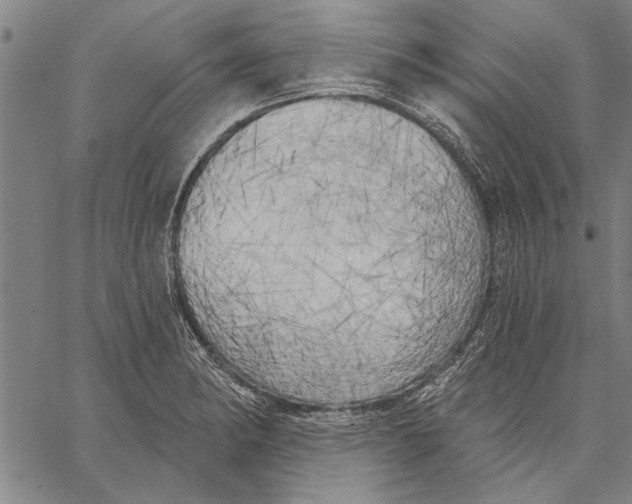 X0000067391182200604211626