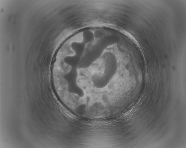 X0000067391183200604211626