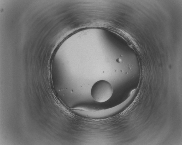 X0000067391184200604211626