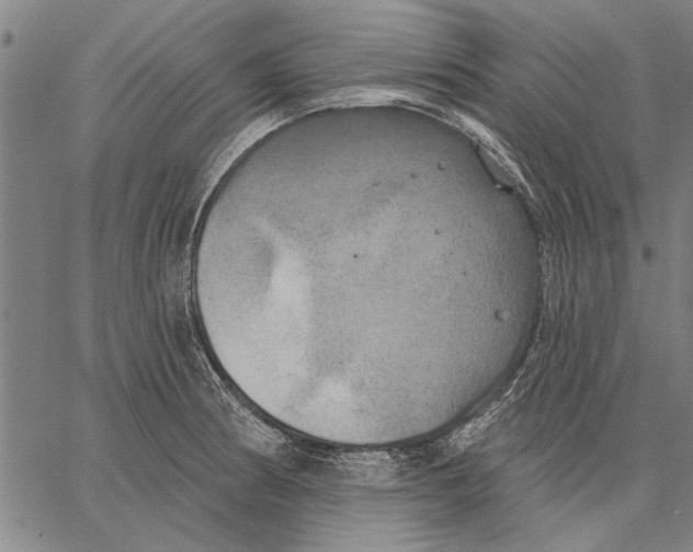 X0000067391186200604211626