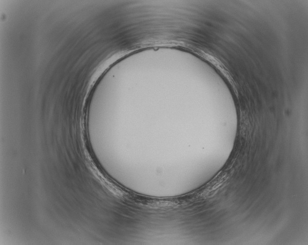 X0000067391187200604211626