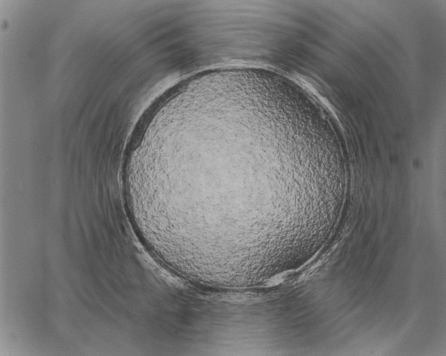 X0000067391189200604211626