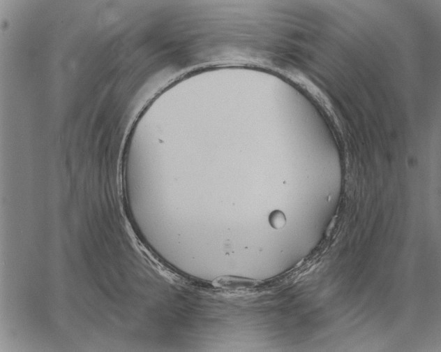 X0000067391191200604211625