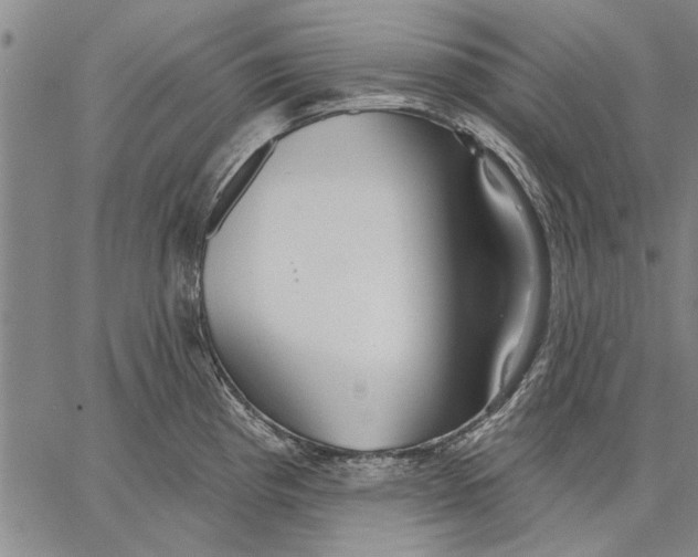 X0000067391193200604211625