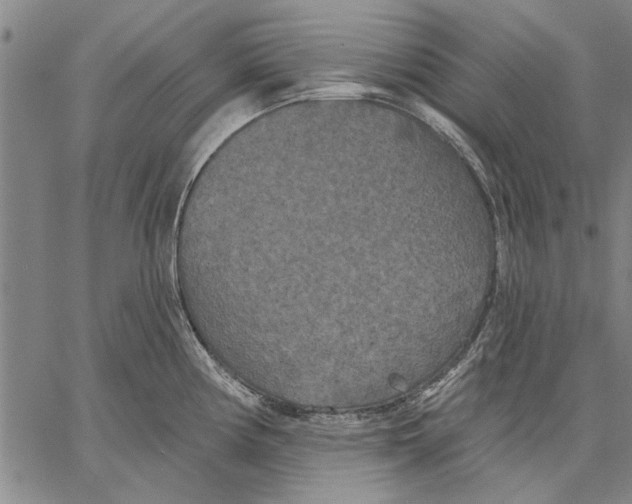 X0000067391194200604211625