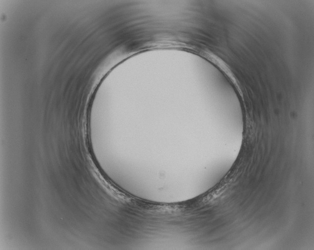 X0000067391195200604211625