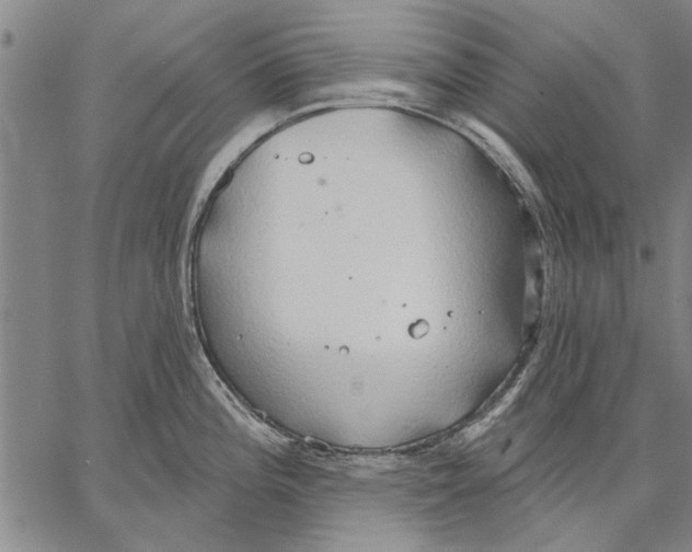 X0000067391196200604211625