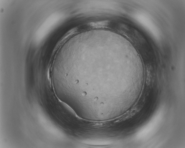 X0000067391198200604211625