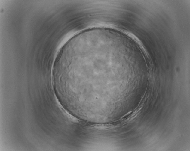 X0000067391199200604211625