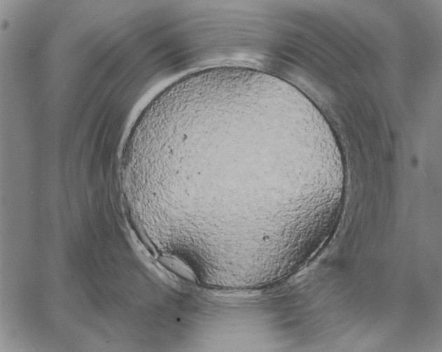 X0000067391200200604211625