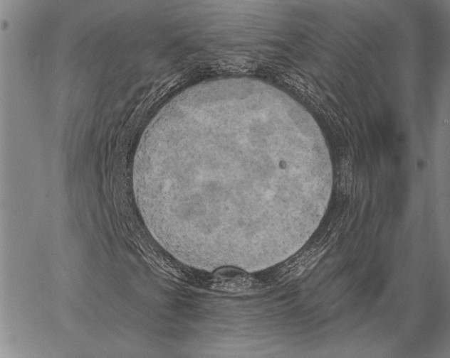 X0000067391201200604211624