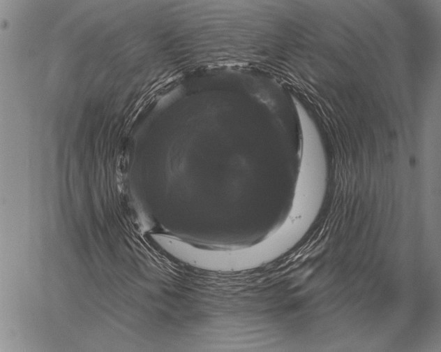 X0000067391202200604211625