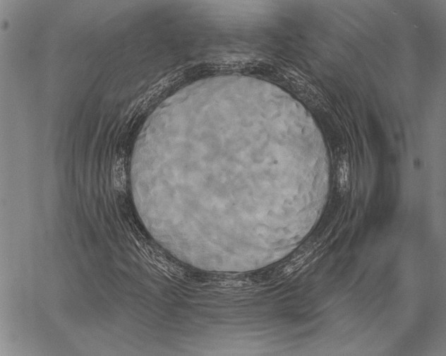 X0000067391204200604211625