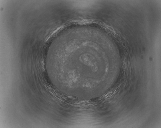 X0000067391205200604211625