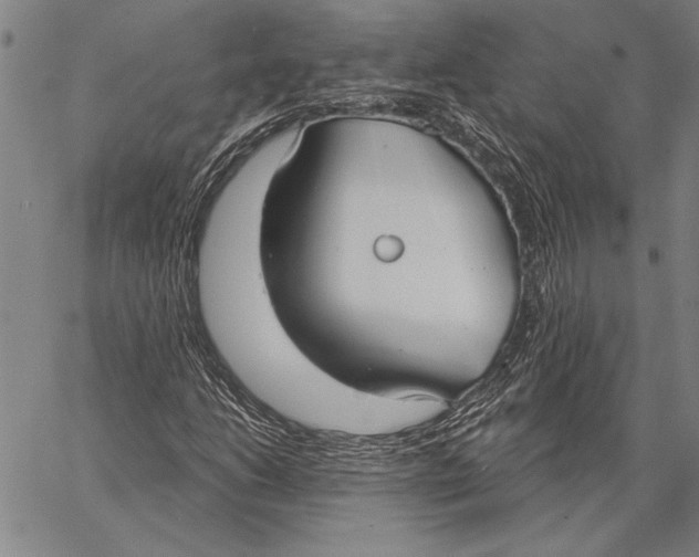 X0000067391206200604211625