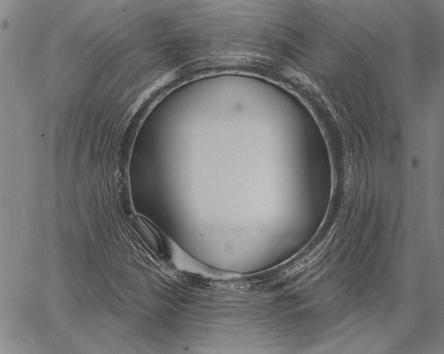 X0000067391210200604211625