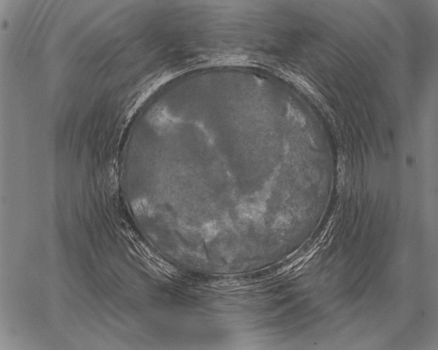 X0000067391212200604211625