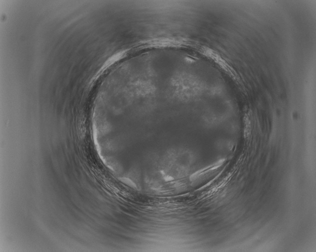 X0000067391213200604211625