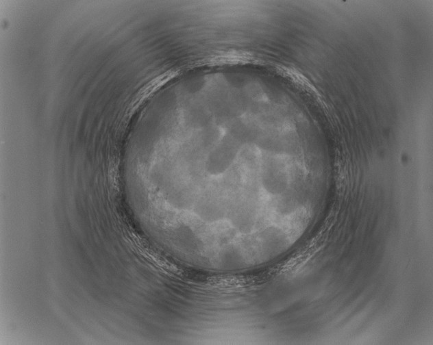 X0000067391217200604211625