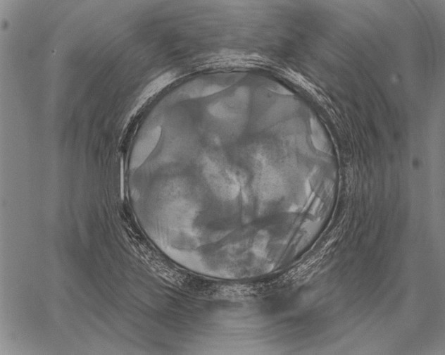 X0000067391219200604211625