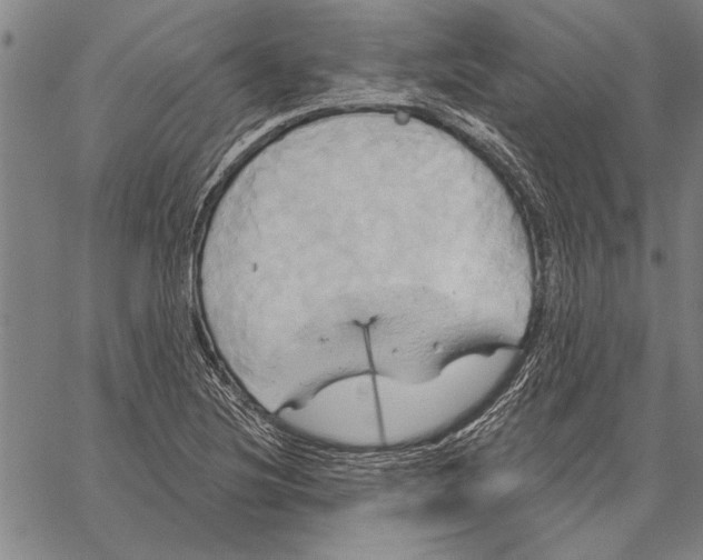 X0000067391220200604211625