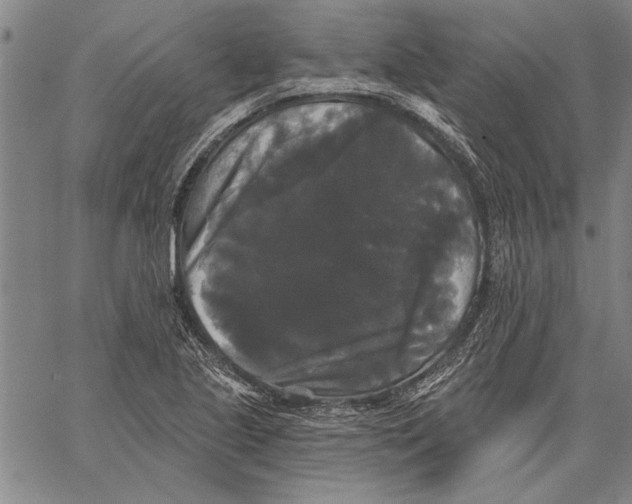 X0000067391221200604211625