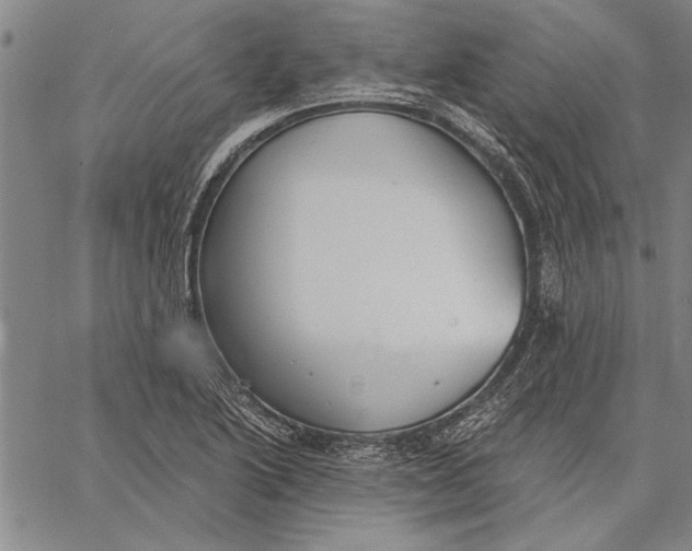 X0000067391222200604211625