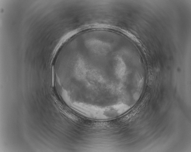 X0000067391223200604211625