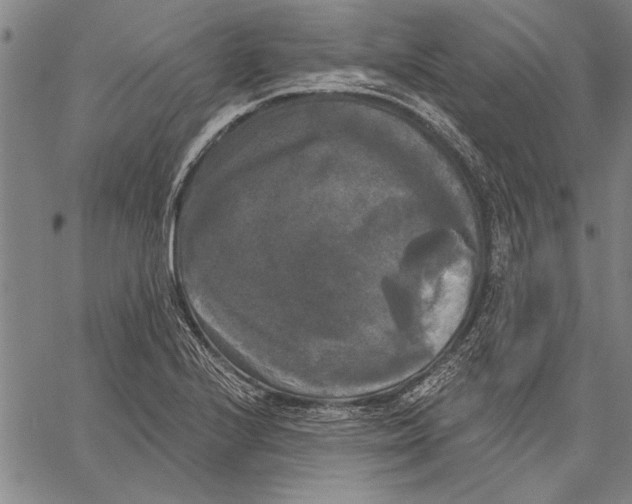 X0000067391224200604211625