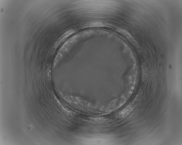 X0000067391225200604211625