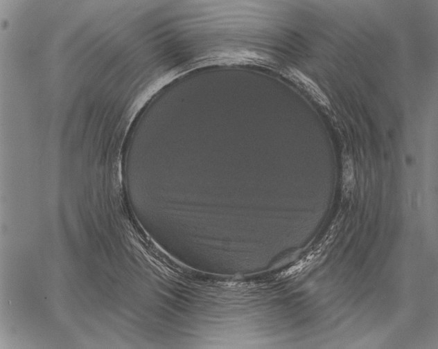 X0000067391226200604211625