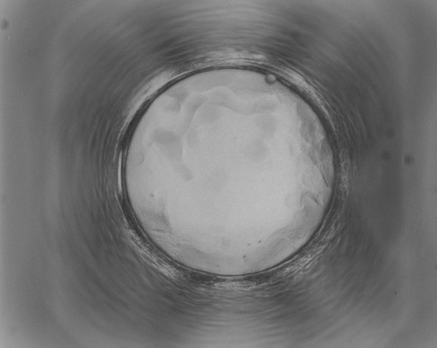 X0000067391227200604211625