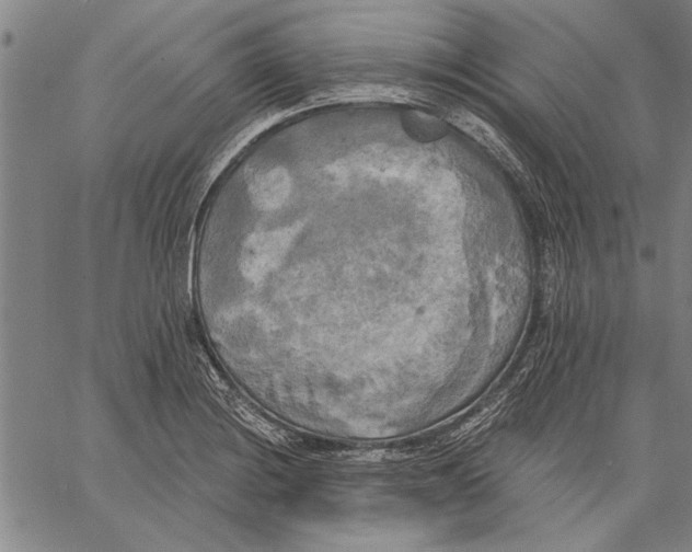 X0000067391228200604211625