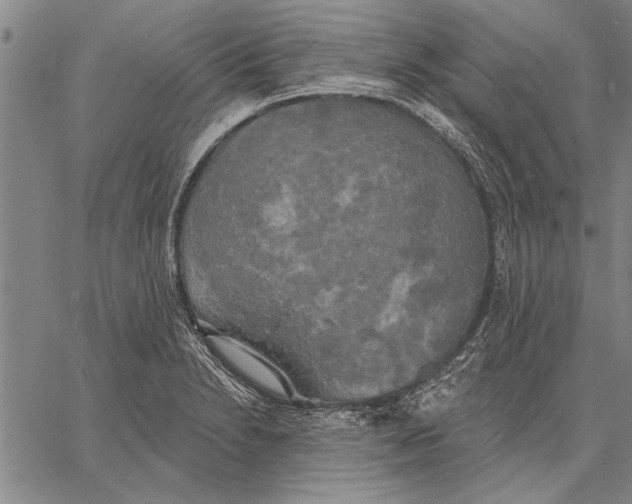 X0000067391230200604211625