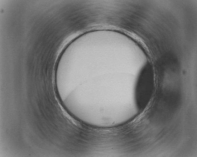 X0000067391231200604211625