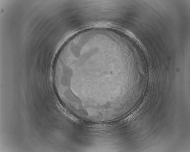 X0000067391232200604211625