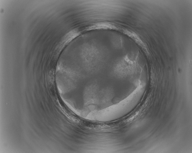 X0000067391233200604211625