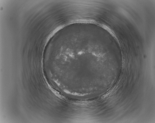 X0000067391237200604211625