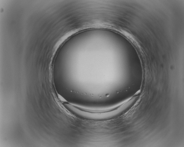 X0000067391238200604211625