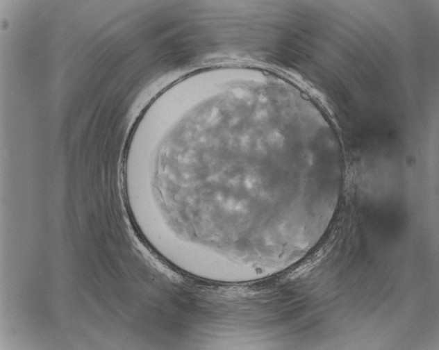 X0000067391239200604211625