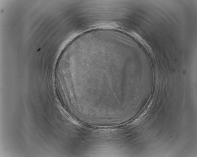 X0000067391240200604211625