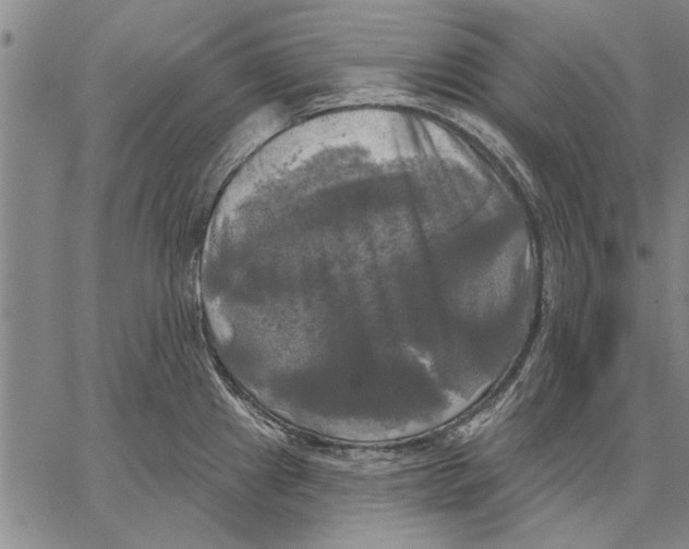 X0000067391241200604211625