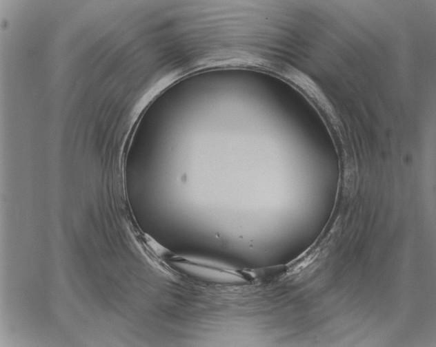 X0000067391242200604211625